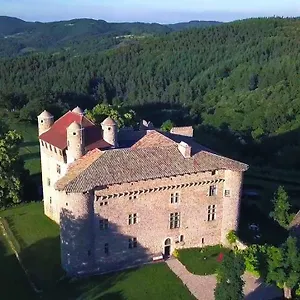 Château De Maisonseule Saint-Basile